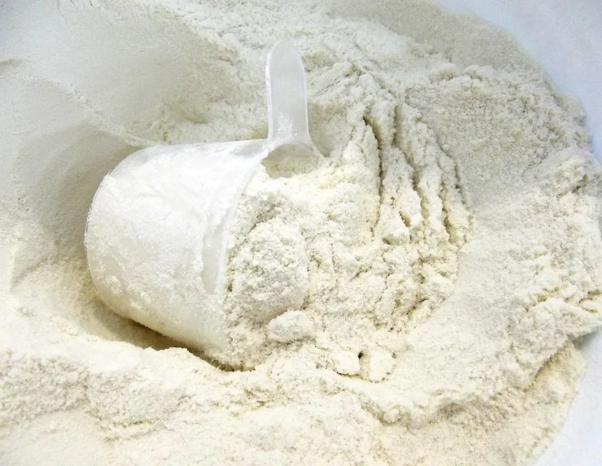 The Benefits of Whey Protein Isolate for Muscle Building and Meal Replacement